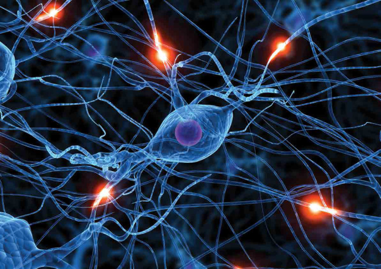 Science ամսագիրը հրապարակել է 2018թ.-ի գիտական կարևորագույն ձեռքբերումների տասնյակը