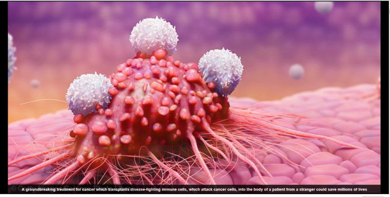Cancer breakthrough that allows doctors to transplant disease-fighting immune cells from strangers into patients could 'save millions of lives in the future'