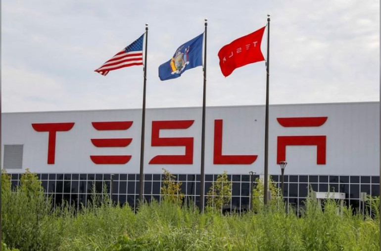 Tesla's solar factory ‘exporting most of its cells’, document reveals