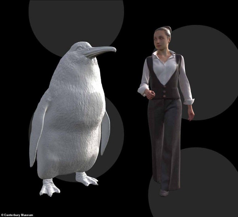 Giant penguin the size of a human lived in New Zealand 66 million years ago alongside 'the world’s largest parrot, huge eagles and burrowing bats'