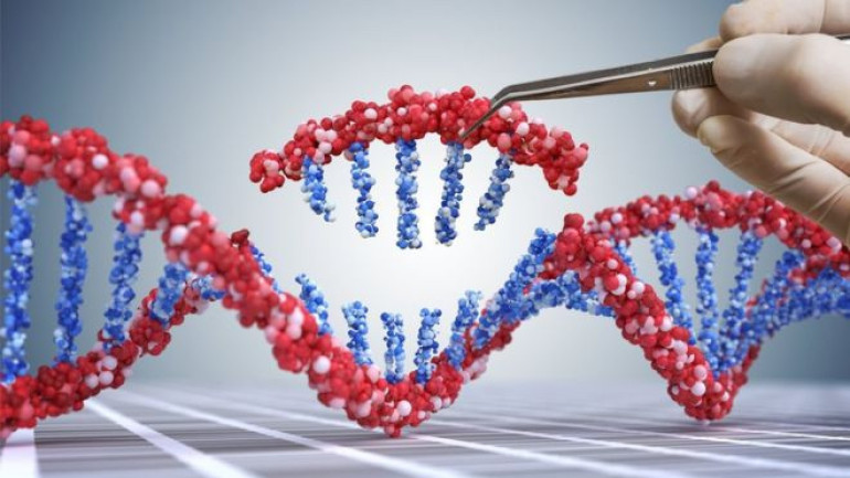 Prime editing: DNA tool could correct 89% of genetic defects