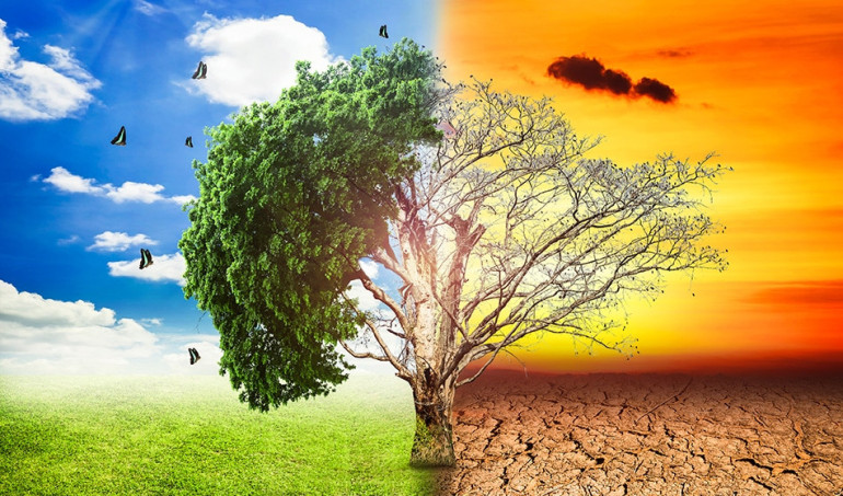 Scientists warn of  'climate change tipping points' as planet is heading for ՙcatastrophic domino effect՛