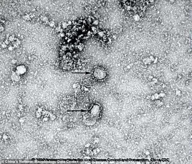 World Health Organization holds coronavirus talks with tech giants
