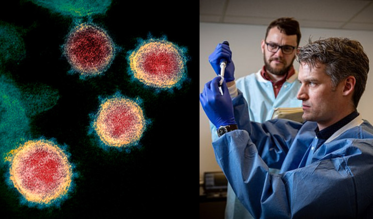 Scientists say coronavirus is not mutating quickly - Daily Mail
