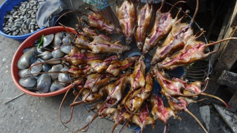 New evidence of coronavirus risks from wildlife trade