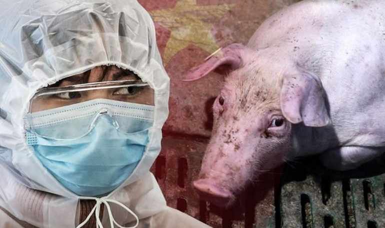 Flu virus with 'pandemic potential' found in China