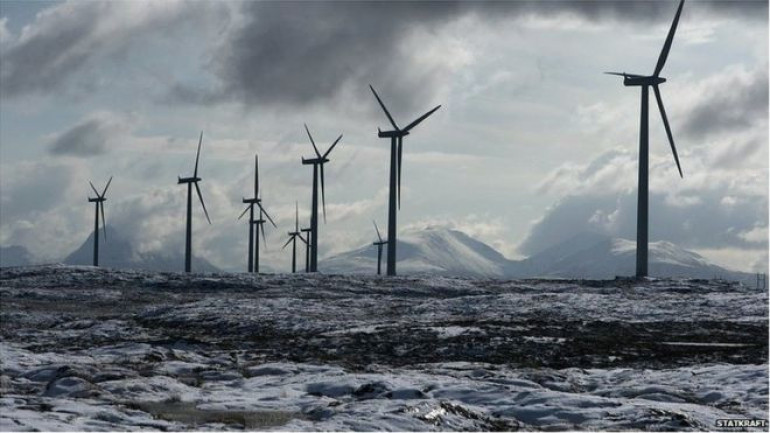 Black turbine blade 'can cut bird deaths'