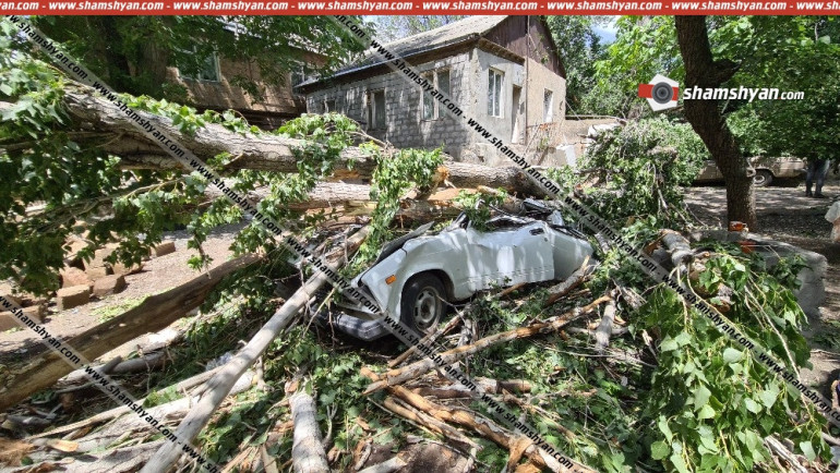 Օշականում քամու հետևանքով բարդին տապալվել է․ բակում կայանված ավտոմեքենաները մետաղե ջարդոնի են վերածվել․ shamshyan.com