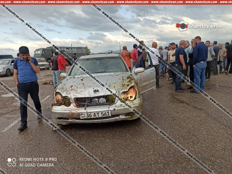 Գեղարքունիքում Mercedes-ը մխրճվել է հոտի մեջ․ 30-ից ավելի ոչխար սատկել է․ shamshyan.com
