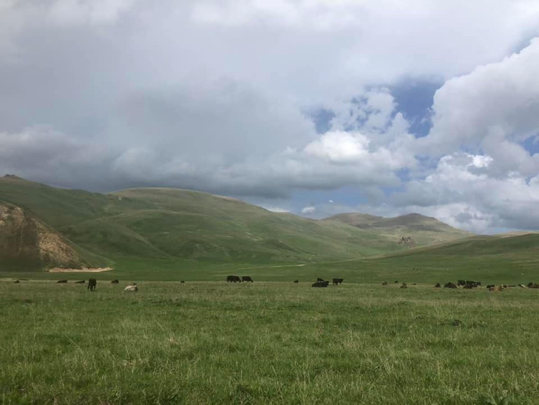 Ադրբեջանցի զինծառայողները զբաղված են ՀՀ բնակիչների եղջերավոր կենդանիների գողություններով, ինչը կենսական վնասներ են հասցնում ՀՀ սահմանային բնակչությանը. ՀՀ ՄԻՊ