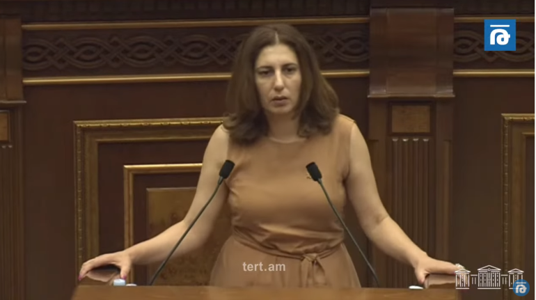Առաջարկվող օրենսդրական կարգերի պատճառով հնարավոր է փակվեն մի շարք մասնավոր և պետական մանկապարտեզներ․ Սոֆյա Հովսեփյան (տեսանյութ)