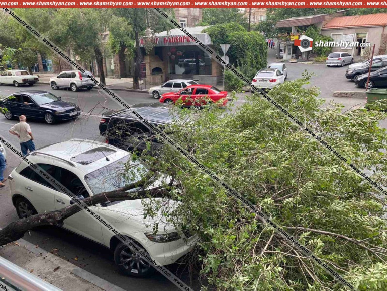 Հրապարակվել է օրեր առաջ Երևանում քամու հետևանքով ծառի՝ ավտոմեքենաների վրա ընկելու տեսանյութը