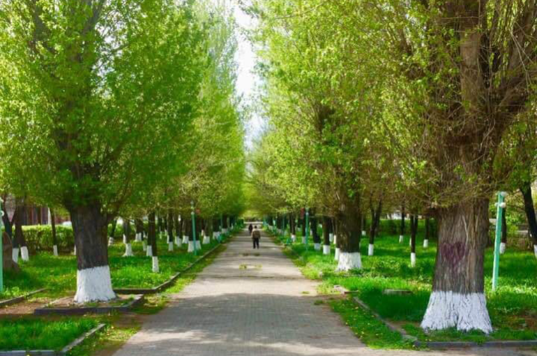Գյումրու «Երիտասարդական» զբոսայգու տարածքն առերևույթ ապօրինի օտարման փաստի առթիվ քրգործ է հարուցվել