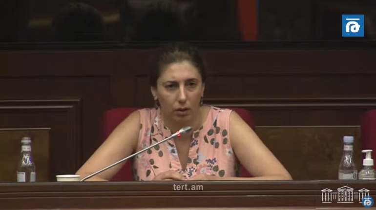 Լենա Նազարյանի ասած «իձյոտկա» արտահայտությունը նույնպե՞ս պետք է քրեականացվի այս օրենքով․ Սոֆյա Հովսեփյանը՝ հայհոյանքը քրեականացնող նախագծի մասին (տեսանյութ)