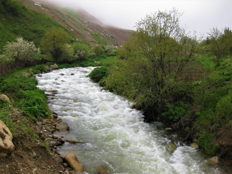 Փրկարարները քաղաքացուն դուրս են բերել գետից
