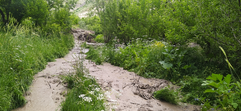Քարագլուխ գյուղում հողազանգվածի սահքի հետևանքով վնասվել են հարակից այգիների պտղատու և դեկորատիվ ծառեր, դաշտամիջյան ճանապարհը փակվել է