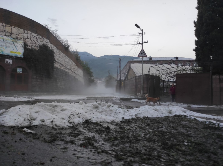 Շրջված ծառեր, ջրալցված տներ, վնասված տանիքներ, էներգամատակարարման և գազամատակարարման ցանցի խափանումներ և այլն․ Տավուշում հորդառատ անձրևն ու քամին լուրջ վնասներ են պատճառել (լուսանկարներ)