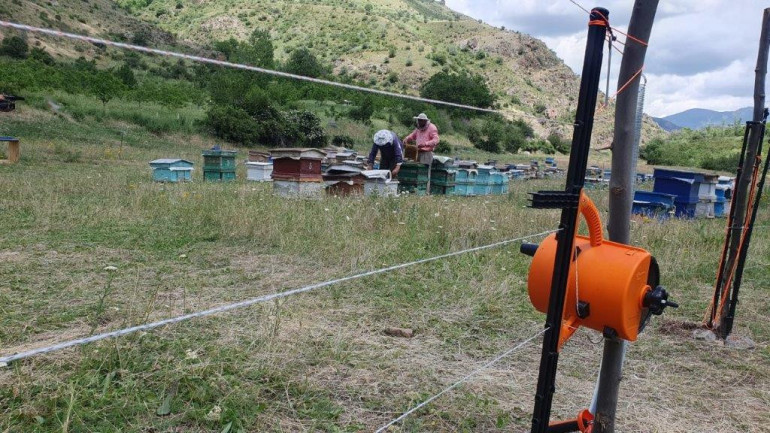 Շարժական «էլեկտրական հովիվները» Եղեգիս համայնքում խոչընդոտ են դարձել արջերի համար