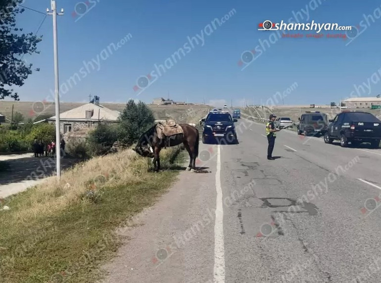 ՊՆ УАЗ-ը բախվել է ձիուն, 10-ամյա տղային Երևան տեղափոխելու համար հրավիրել են սանավիացիա․ Shamshyan.com