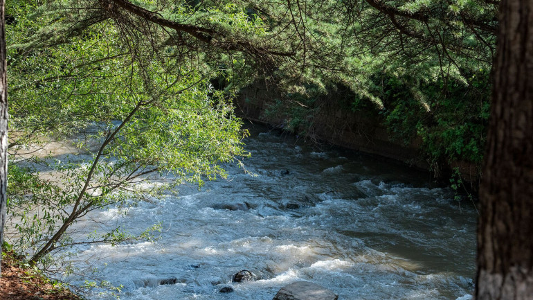 Փրկարարները քաղաքացուն դուրս են բերել Աղստև գետից