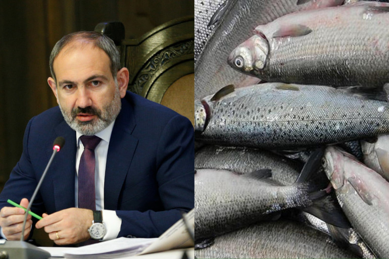 Առաջին անգամ է, որ մենք սիգի հետ հարաբերվում ենք որպես պետություն. Նիկոլ Փաշինյան (տեսանյութ) Առաջին անգամ է, որ մենք սիգի հետ հարաբերվում ենք որպես պետություն. Նիկոլ Փաշինյան (տեսանյութ)