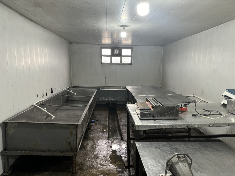 «Ոսկե աքաղաղ պլյուս» ապրանքանիշի թռչնամսում հայտնաբերվել են մանրէաբանական անհամապատասխանություններ. արտադրամասի գործունեությունը կասեցվել է