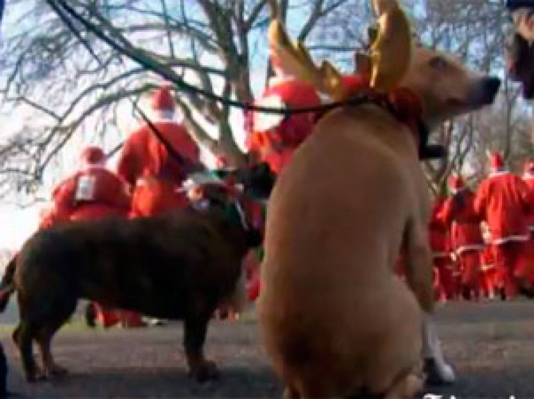 Santa Festive Charity Race in London