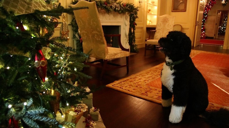 White House on the X-mas Eve