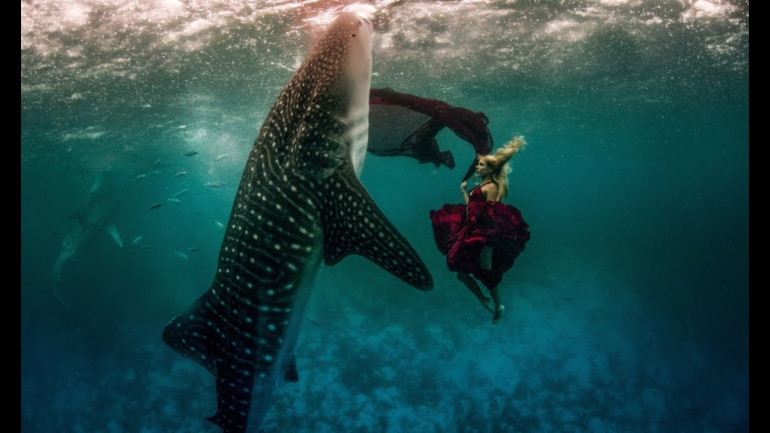 Whale Sharks Fashion Shoot