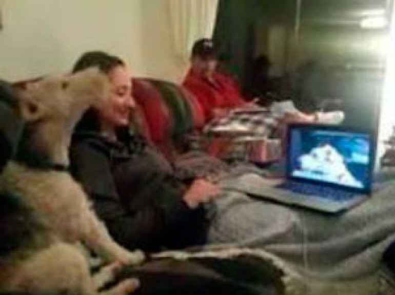 Two dogs Skype each other 