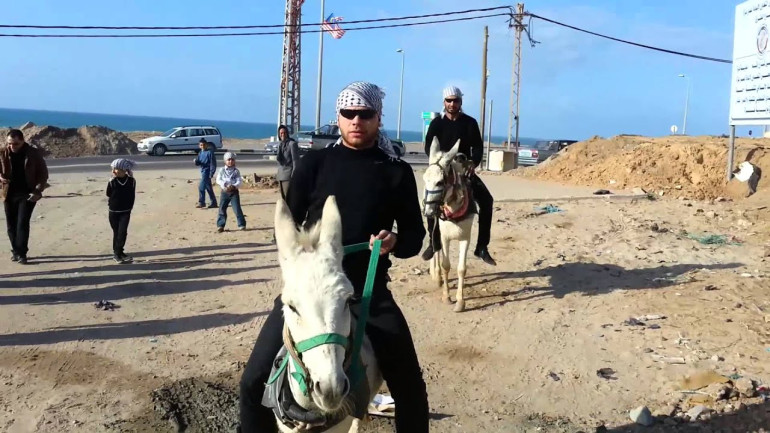 Gangnam Gaza Style