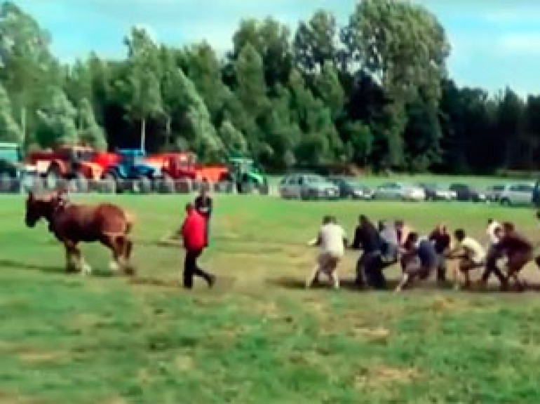 18 Men vs. Horse