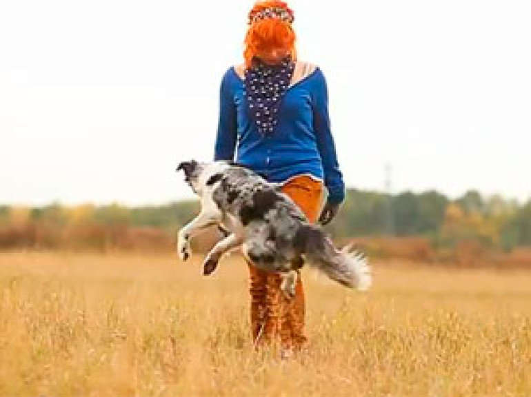 Amazing Dog Tricks