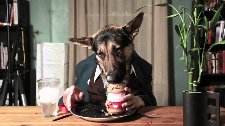Odin eating like a person