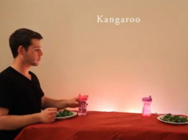 How Animals Eat Their Food