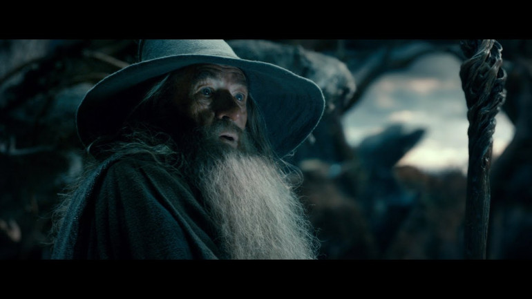 The Hobbit: The Desolation of Smaug