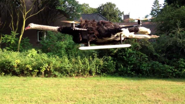 OstrichCopter Second Test