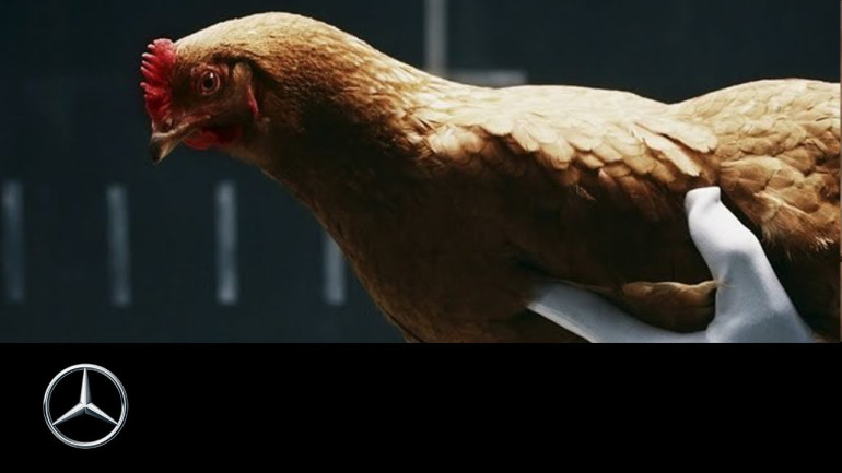 Mercedes-Benz TV: Magic Body Control TV Commercial 'Chicken'