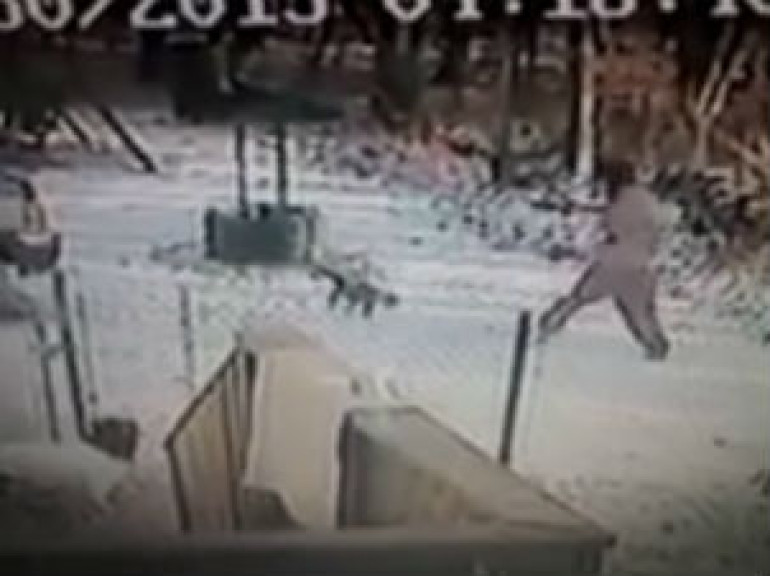 Cat AttacksWoman in the Snow