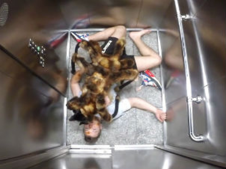 Mutant Giant Spider Dog