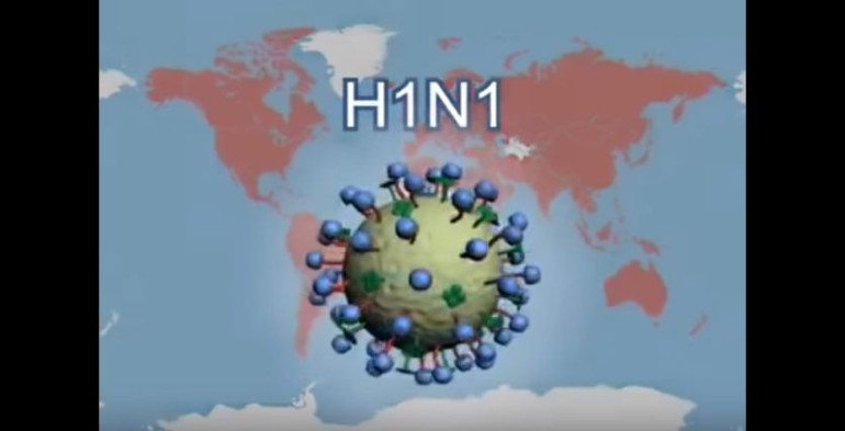 Կանխարգելենք խոզի գրիպը՝ H1N1-ը