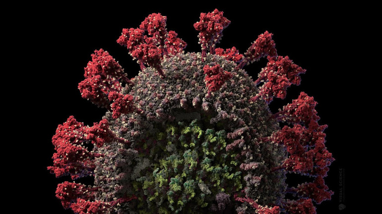 3D Model of SARS-CoV-2 Virus at Atomic Resolution