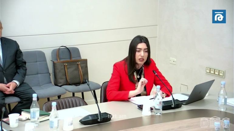 Ինչու ենք «զոռով» վերադարձնում այն մարդկանց, որոնք ՀՀ-ում ապրելու ցանկություն չունեն. Արսենյան