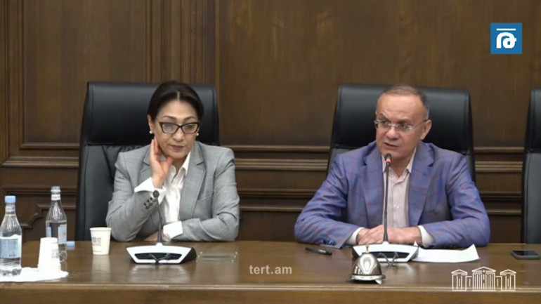 Փողոցային գործողություններ, աշխատանք՝ համակիրների հետ․ օգտագործելու ենք մեր ողջ գործիքակազմը․ Սեյրան Օհանյան