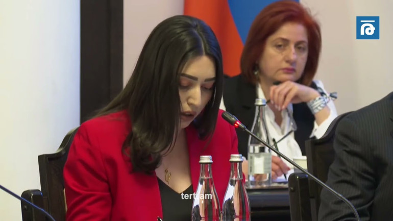 Եգիպտոսի աջակցության կարիքը ունենք Գազայի գոտի մարդասիրական օգնություն տեղափոխելու համար. Փաշինյան
