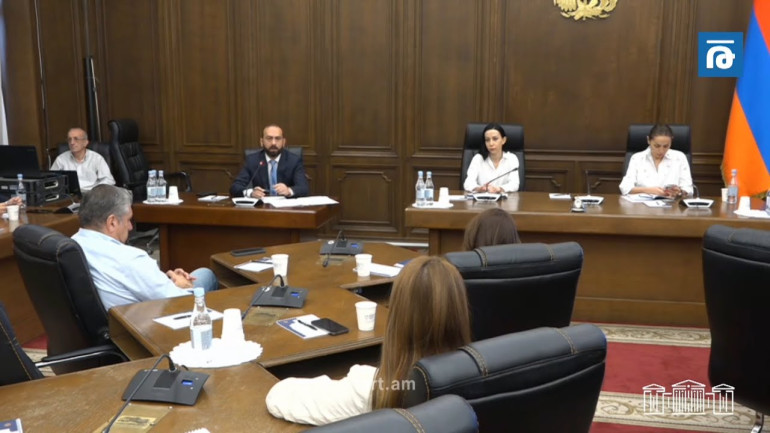 Եթե Դուք իմ տեղը նստած լինեիք, Ձեզ շատ ավելի լավ «կչորեիք», քան ես եմ ինձ թույլ տալիս․ Արարատ Միրզոյանը՝ ընդդիմադիր պատգամավորին