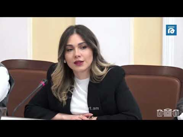 Աշխատում ենք Սահմանադրության նոր տեքստի վրա, որը, ըստ ստանձնած հանձնառության, պետք է պատրաստ լինի մինչև 2026 թվականի ընտրությունները. Սրբուհի Գալյան