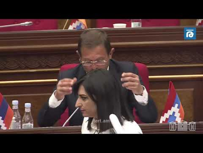 Սևանում Սասուն Միքայելյանին պատկանող տարածքի վերաբերյալ ուսումնասիրություն է կատարվում. Աննա Վարդապետյան