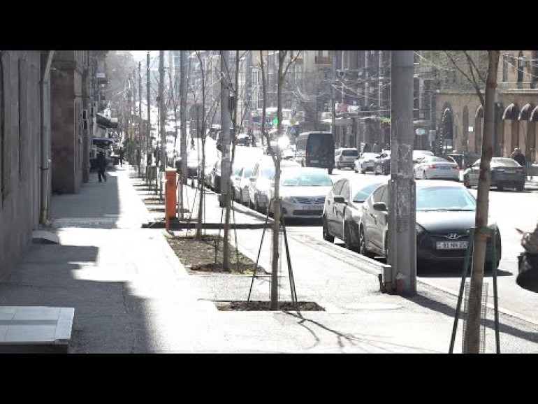 Ի՞նչ պետք է շնչենք, դրա համար էլ այսքան քաղցկեղ կա. երևանցիները՝ հատվող հաստաբուն ծառերի մասին