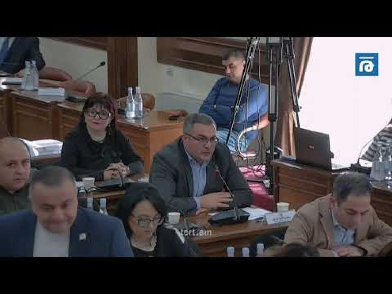Երևանում «պարկովշիկների» սև շուկա է ձևավորվել, մարդիկ միլիոններ են աշխատում․ ավագանու անդամ